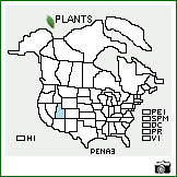 Distribution of Penstemon nanus D.D. Keck. . Image Available. 