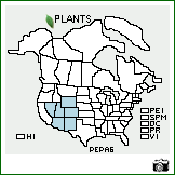 Distribution of Penstemon pachyphyllus A. Gray ex Rydb.. . Image Available. 