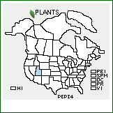 Distribution of Penstemon pinorum L.M. Shultz & J.S. Shultz. . 