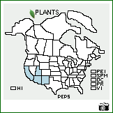 Distribution of Penstemon pseudospectabilis M.E. Jones. . Image Available. 