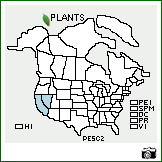 Distribution of Penstemon scapoides D.D. Keck. . Image Available. 