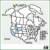 Distribution of Penstemon subglaber Rydb.. . Image Available. 