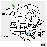 Distribution of Penstemon tenuiflorus Pennell. . Image Available. 