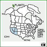 Distribution of Penstemon thompsoniae (A. Gray) Rydb.. . Image Available. 