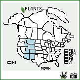 Distribution of Penstemon whippleanus A. Gray. . Image Available. 