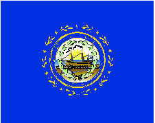 New Hampshire State Flag