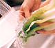 Washing lettuce