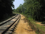 Photo: view up the railroad track bordered by trees