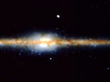 COBE's View of the Milky Way