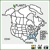 Distribution of Pityopsis graminifolia (Michx.) Nutt. var. graminifolia. . Image Available. 