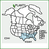 Distribution of Pityopsis graminifolia (Michx.) Nutt. var. tenuifolia (Torr.) Semple & F.D. Bowers. . 