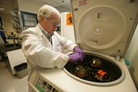 researcher placing vials of blood in centrifuge