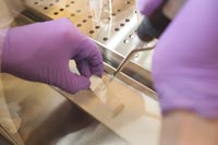 researcher placing sample on a microsope slide