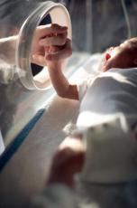 Photograph of a female hand holding the hand of a newborn baby in an incubator
