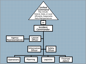 ICS Organization guide