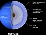 Neptune's Interior