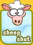 Sheep Shot