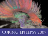 Curing Epilepsy 2007 Conference Logo