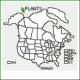 Distribution of Penstemon humilis Nutt. ex A. Gray ssp. obtusifolius (Pennell) D.D. Keck. . 