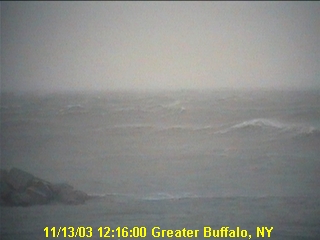 Buffalo webcam photo