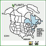 Distribution of Abies balsamea (L.) Mill. var. phanerolepis Fernald. . 