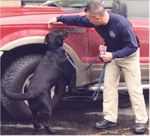 Searching for Explosive Devices, Beacon and his Handler