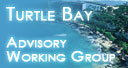 Turtle Bay Proposal