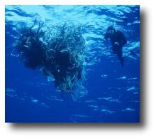 Picture of a scuba diver next two a ball of tangled fishing gear.