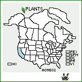 Distribution of Acer negundo L. var. californicum (Torr. & A. Gray) Sarg.. . 