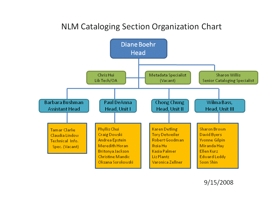 Organization Chart for Cataloging