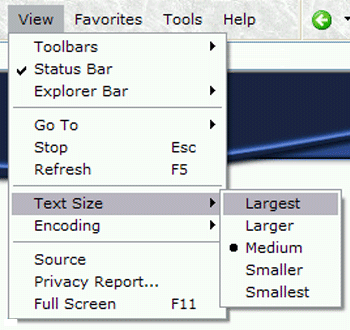 screenshot of View menu in Internet Explorer