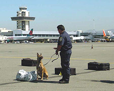 Photo of a canine with his handler