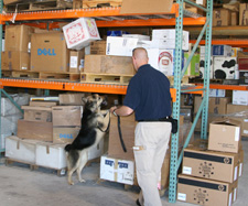 Photo of dog handler and explosives detection canine searching air cargo