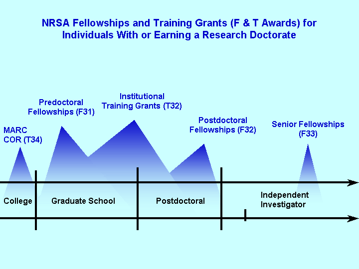 NRSA Fellowships and Training Grants (F & T Awards) for Individuals with or Earning a Research Doctorate
