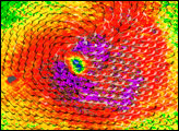 Tropical Cyclone Dora