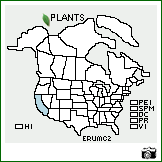 Distribution of Eriogonum umbellatum Torr. var. chlorothamnus Reveal. . Image Available. 