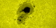 Here is a view of the flare in the optical band, a brighter 'thread' near the lower edge of the upper spot and a bright knot near the center of the lower spot.