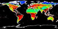 NDVI Example.