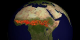This animation shows fires detected over Africa from 8-21-2001 through 8-20-2002.