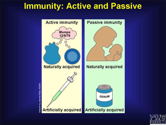 Immunity: Active and Passive