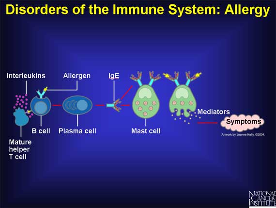 Disorders of the Immune System: Allergy