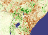 Drought in Eastern Africa