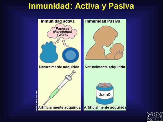 Inmunidad: Activa y Pasiva