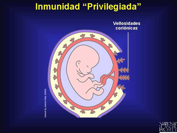 Inmunidad 'Privilegiada'