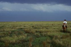 Cowboy on the Uruguayan marshes (c) Anibal Perera