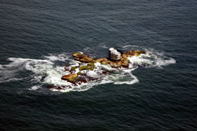 image of Whale Rock