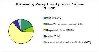 TB Cases by Race/Ethnicity, 2005, Arizona  N = 281 White - 18.9%, Black/African American - 7.5%, Hispanic/Latino - 61.9%, Asian - 7.1%, American Indian/Alaska Native - 4.6%