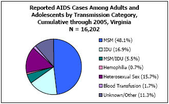 Reported AIDS Cases Among Adults and Adolescents by Transmission Category, Cumulative through 2005, Virginia N = 16,202 MSM - 48.1%, IDU - 16.9%, MSM/IDU - 5.5%, Hemophilia - 0.7%, Heterosexual Sex - 15.7%, Blood Transfusion - 1.7%, Unkown/Other - 11.3%