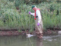 Collecting a depth-integrated water sample from Boulder Creek, CO, using the equal-width-increment (EWI ) method