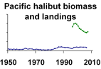 Pacific halibut biomass and landings **click to enlarge**